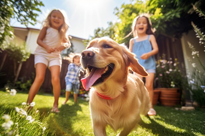 Can Dogs Recognize Human Family Members?