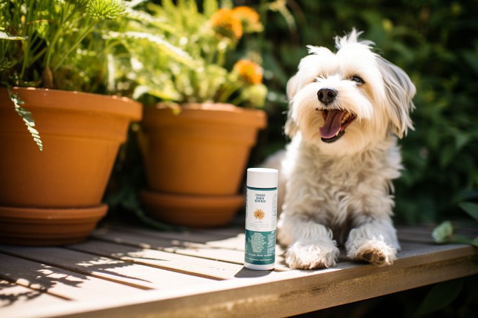 Can Dogs Use Hydrocortisone Cream? Answered Facts & FAQs